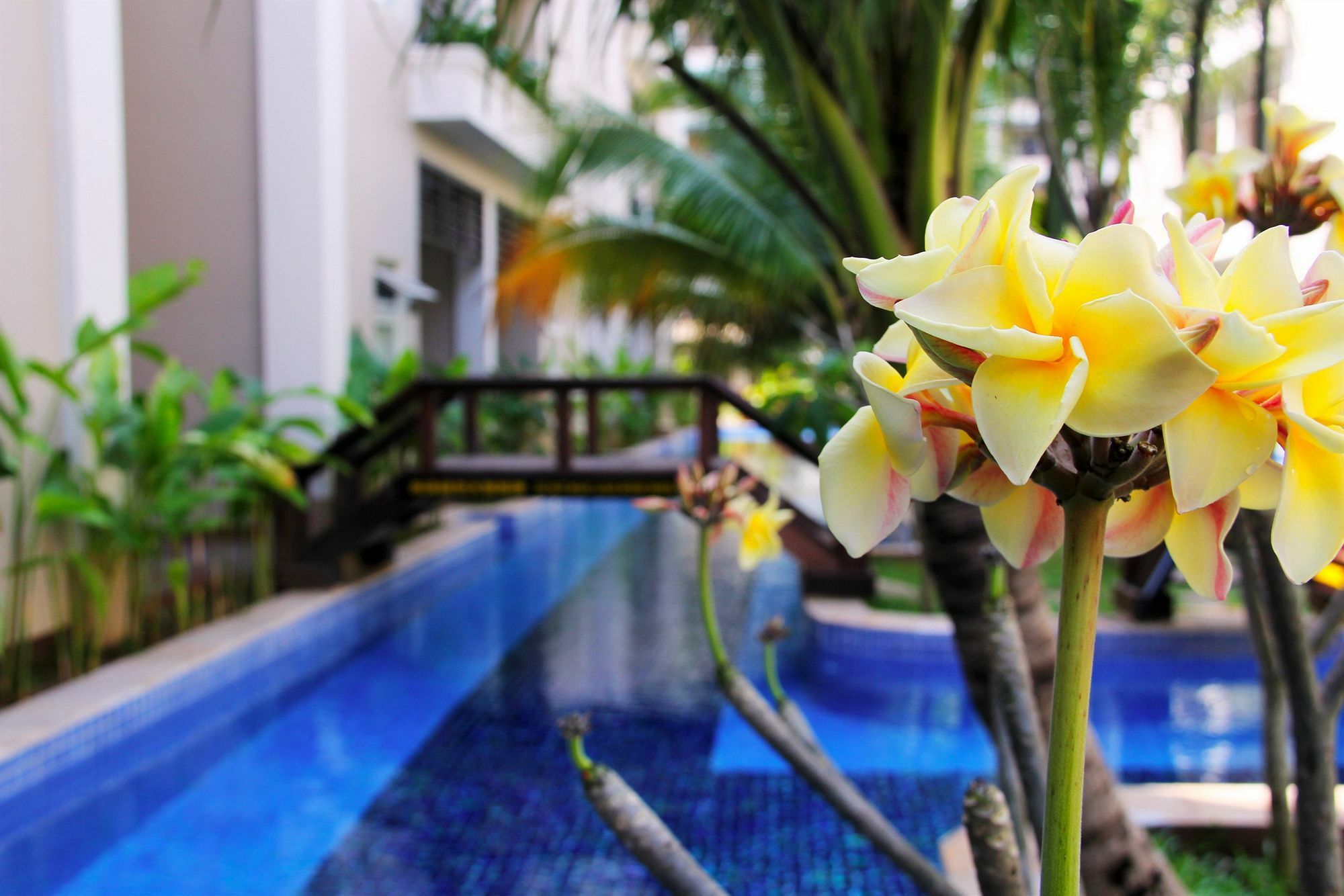 Bali Hotel Phnom Penh Eksteriør billede